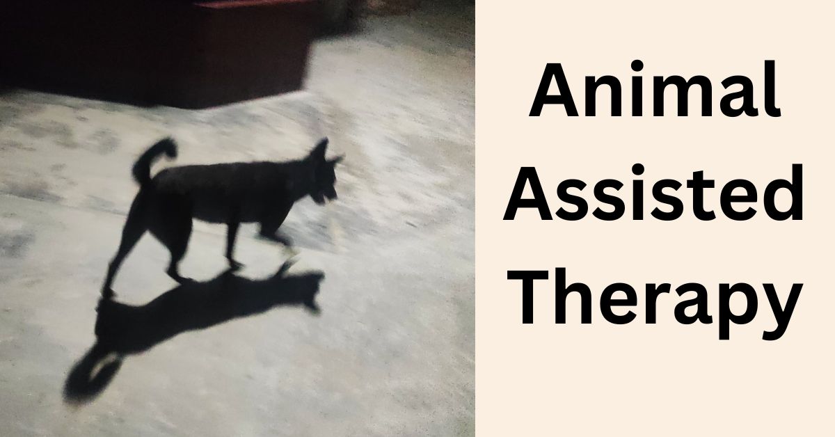 Animal Assisted Therapy